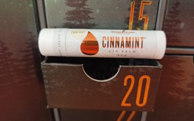 Cinnamint Lip Balm – Zimt Lippenbalsam für gesunde Lippen