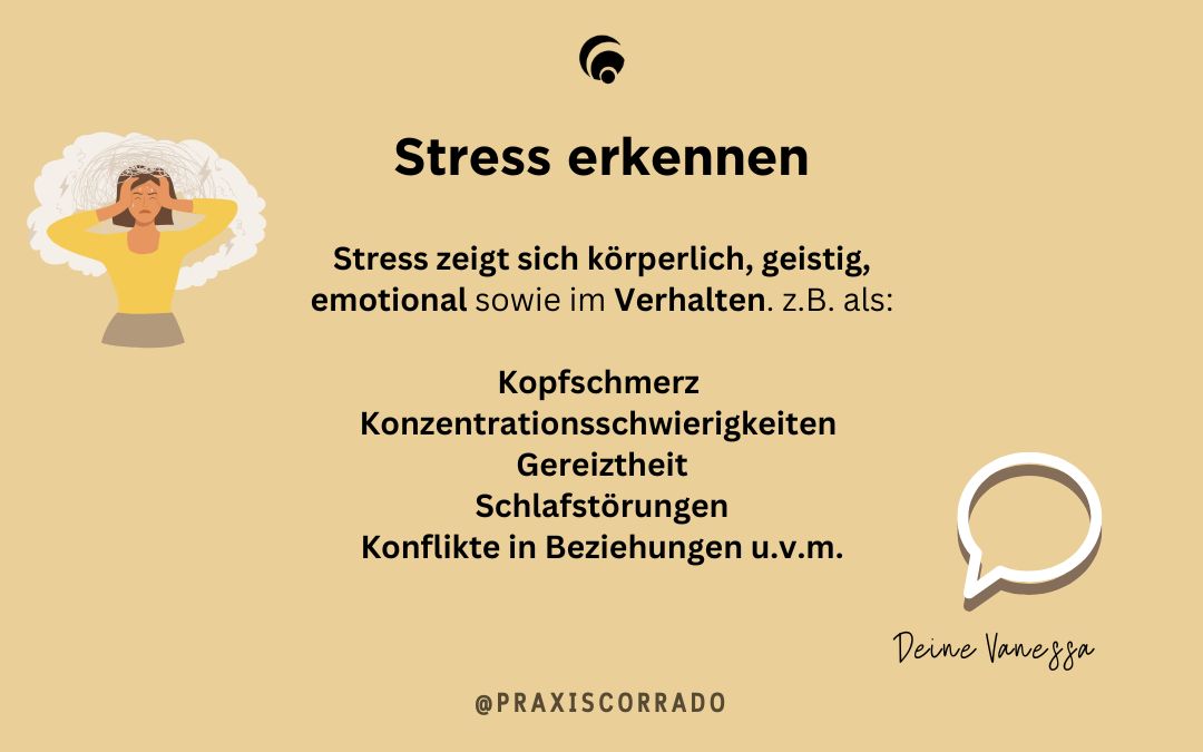 Stress zeigt sich körperlich, geistig, emotional im Verhalten.