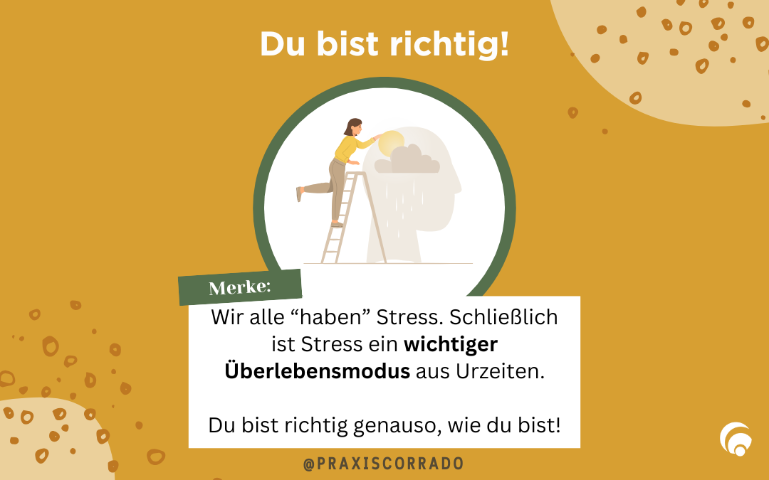 Die Stressreaktion ist physiologisch gesehen noch steinzeitlich angelegt